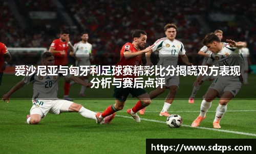 爱沙尼亚与匈牙利足球赛精彩比分揭晓双方表现分析与赛后点评
